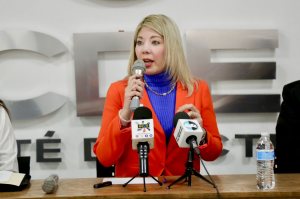 Decisión del TEPJF refuerza el compromiso del PAN con la legalidad: Daniela Álvarez