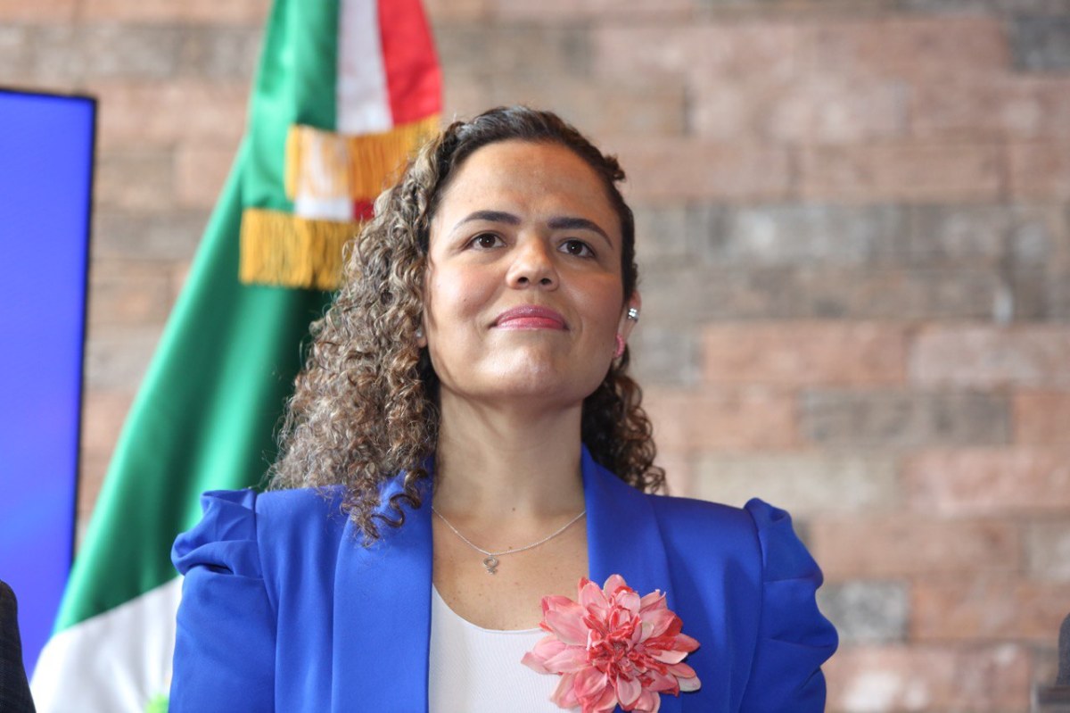 Mariana Gómez del Campo, Secretaría de Asuntos Internacionales del CEN del PAN., 
